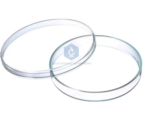 Petri Dish Glass 4”